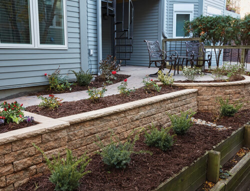 Fall Sale – Happening Now!