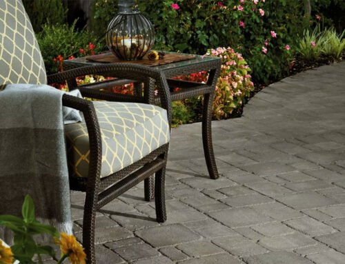 Spring Paver Maintenance Tips